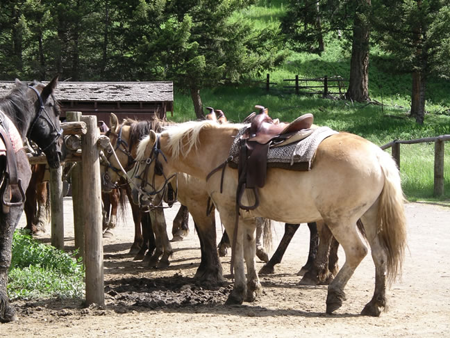 images/Cookout trip (3).jpg